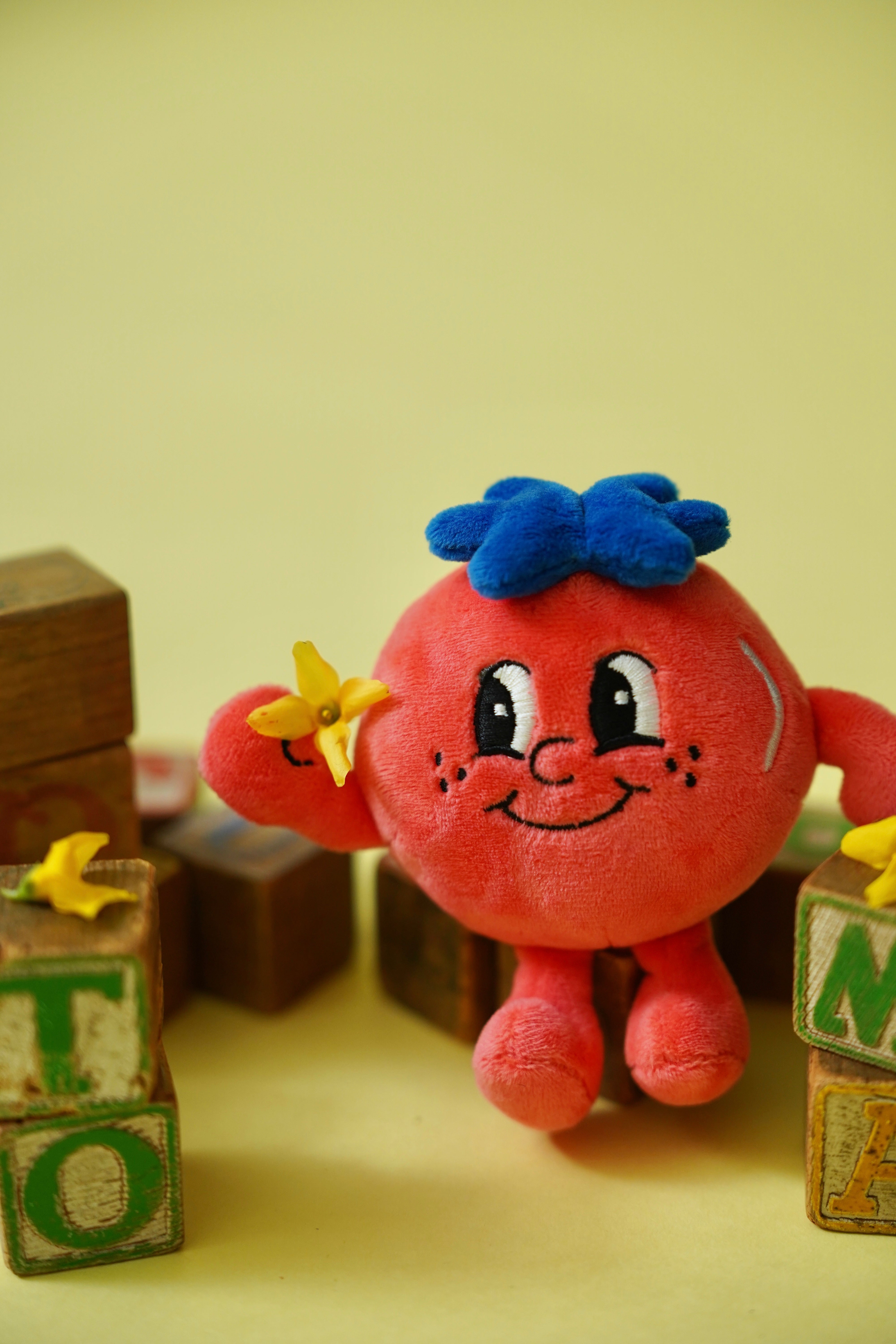 2026SS】トマトくんぬいぐるみキーホルダー – Catchup
